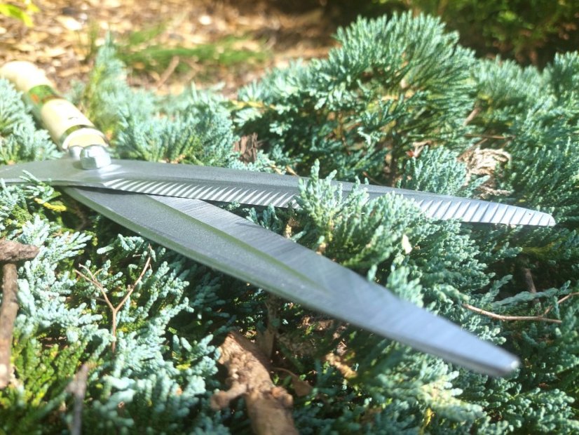 YOSHIOKA - Hasami Masamune - Nokokari 270/180