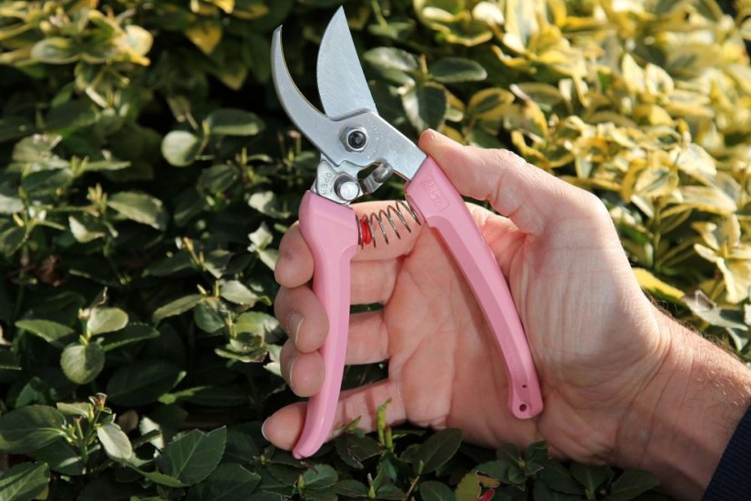 Zahradnické nůžky ARS 130DX - růžové