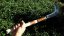 OJIKA Nobori KAMA (japonský billhook)
