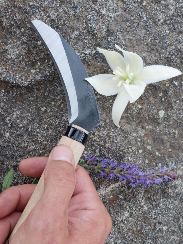 Japonský srp TAKEMOTO Kairyougama mini 135/105