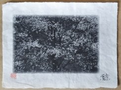 Originální tisk Shozo Kaieda - Kvetoucí strom SAKURA A3