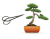 Bonsai nástroje