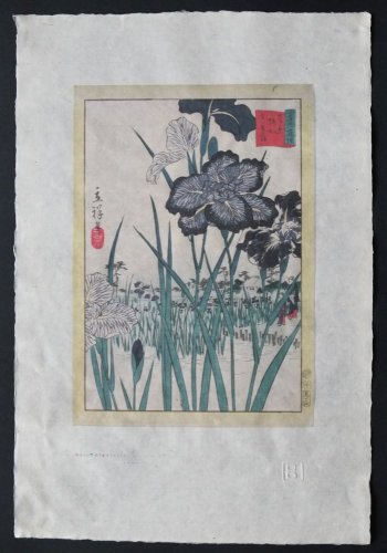 Hiroshige Utagawa - Kosatce v Horikiri v Tokiu  (A3)