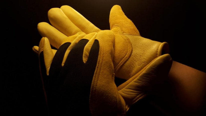 Rukavice Gold Leaf – WINTER TOUCH - Velikosti rukavic: Dámská velikost