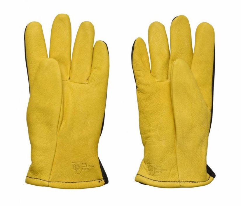 Rukavice Gold Leaf - DRY TOUCH