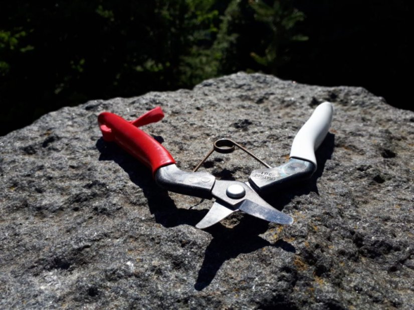 Okatsune 301
