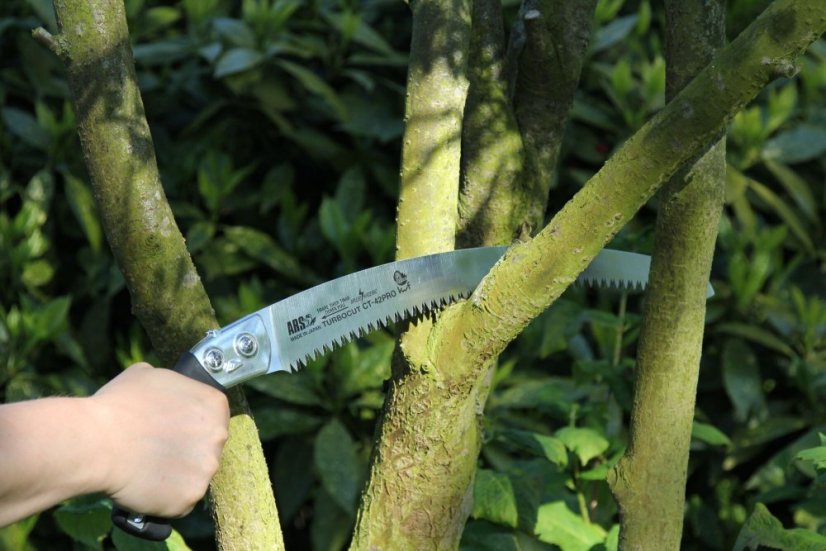ARS CT-42PRO - arboristická pila