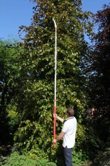Teleskopická tyč pro pilu - ARS EXP 3,3
