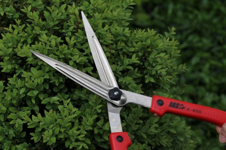 Zahradnické nůžky ARS KR - 800