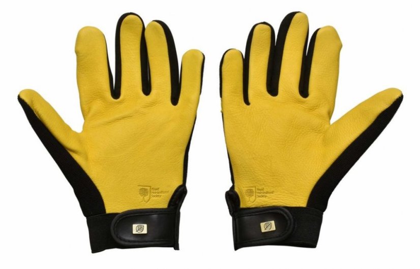 Rukavice Gold Leaf - SOFT TOUCH