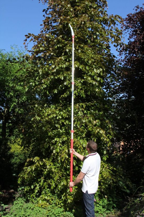 Teleskopická tyč pro pilu - ARS EXP 3,3