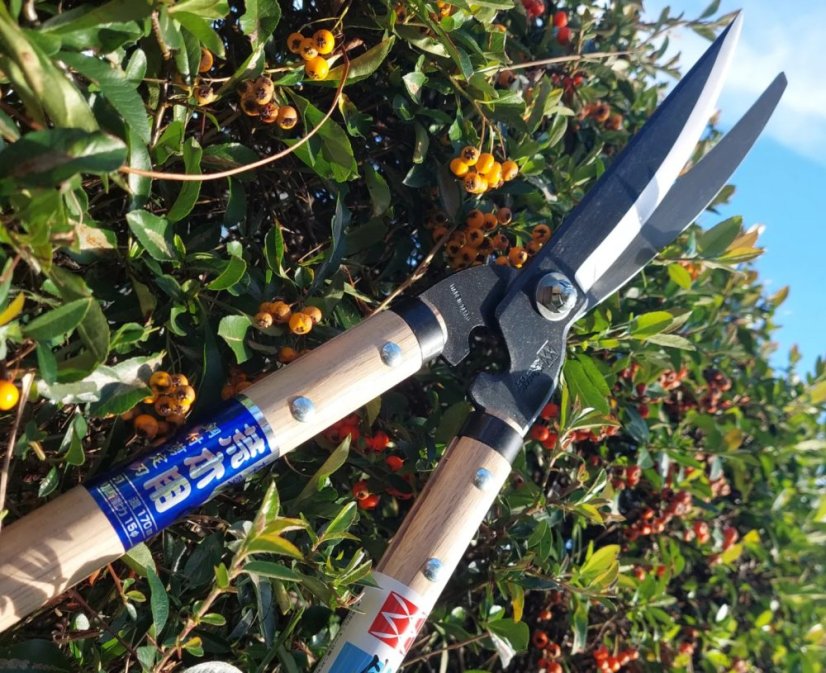 YOSHIOKA - Hasami Masamune - Araki 450/170