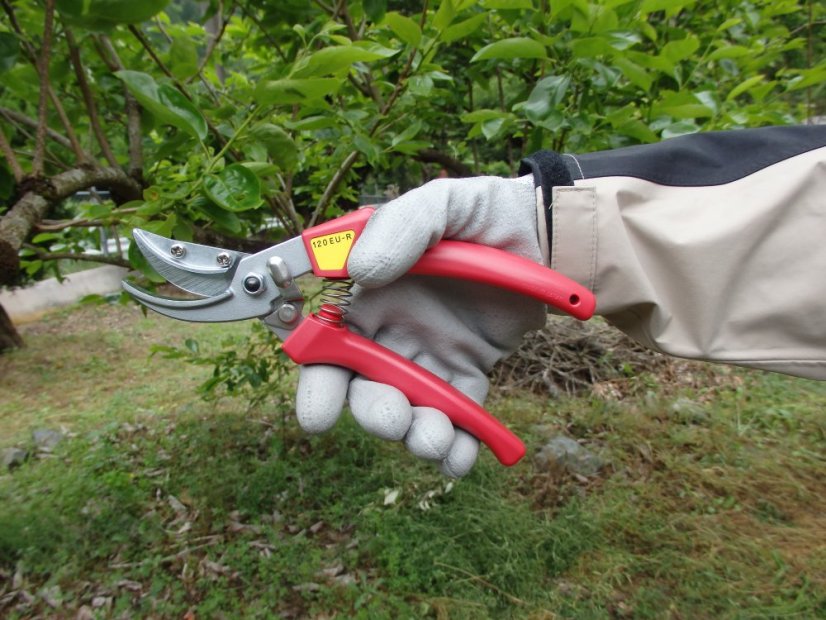 Nůžky na růže  ARS 120EU-R